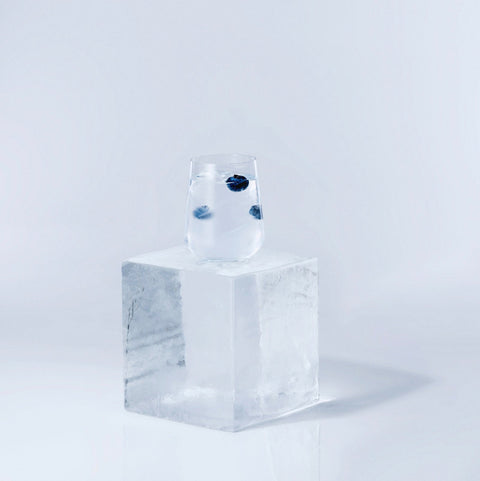 Arctic Blue Gin